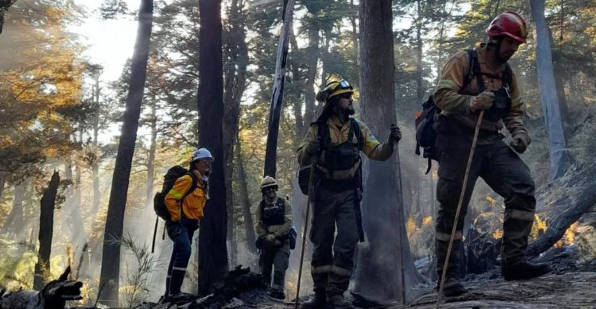 0f180c01-0e04-45ed-8862-2c2a70169fe6